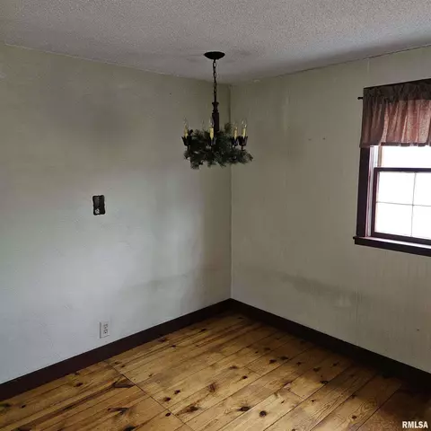 358 W Pine St, Canton, IL 61520 photo 22