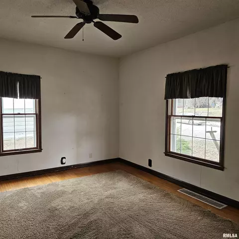 358 W Pine St, Canton, IL 61520 photo 7