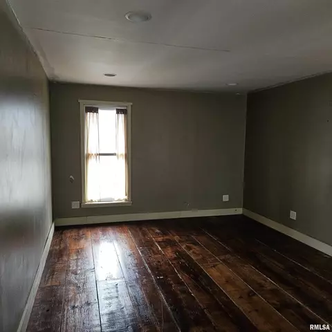 358 W Pine St, Canton, IL 61520 photo 33
