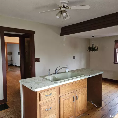 358 W Pine St, Canton, IL 61520 photo 27