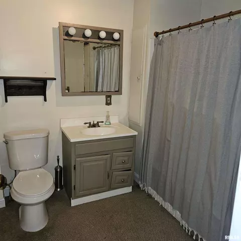 358 W Pine St, Canton, IL 61520 photo 30