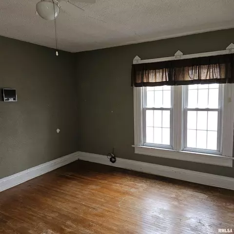 358 W Pine St, Canton, IL 61520 photo 31