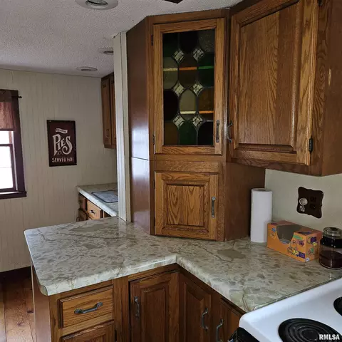 358 W Pine St, Canton, IL 61520 photo 23