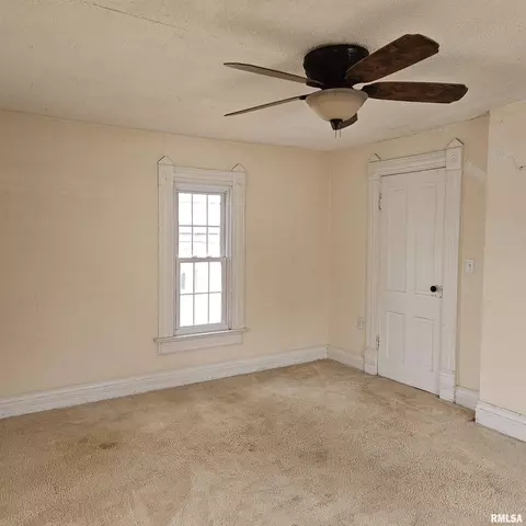 358 W Pine St, Canton, IL 61520 photo 35
