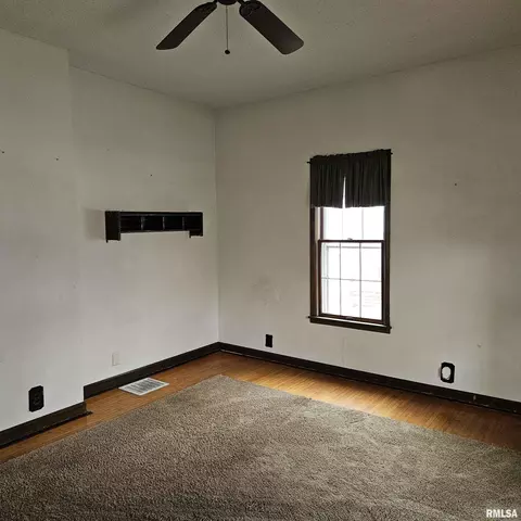 358 W Pine St, Canton, IL 61520 photo 5