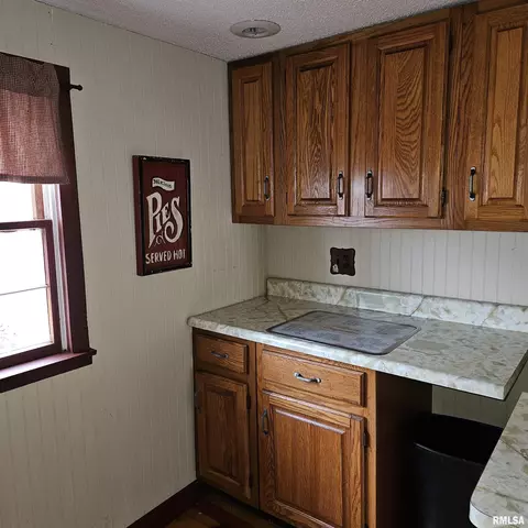 358 W Pine St, Canton, IL 61520 photo 26