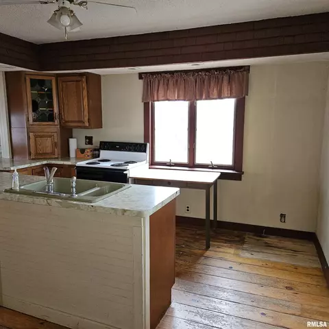 358 W Pine St, Canton, IL 61520 photo 21