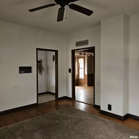 358 W Pine St, Canton, IL 61520 photo 11