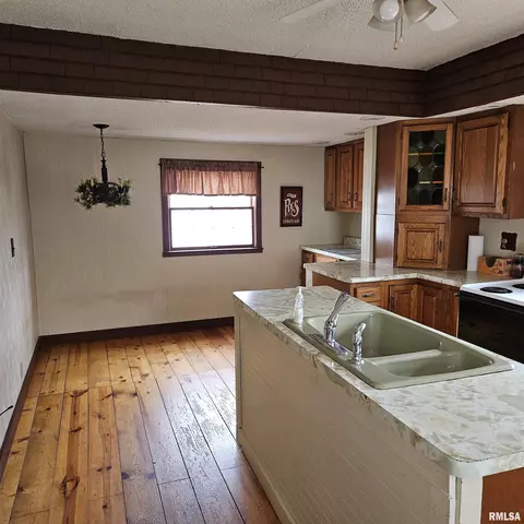 358 W Pine St, Canton, IL 61520 photo 17