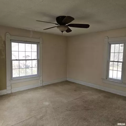 358 W Pine St, Canton, IL 61520 photo 36