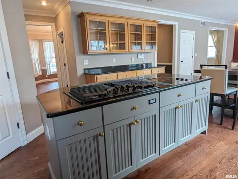 Kitchen - 703 S Brookfield Dr, Dunlap, IL 61525 photo 11 of 15