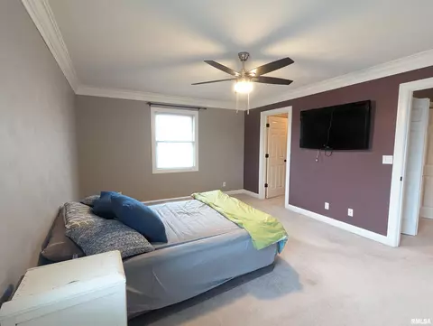 Bedroom - 703 S Brookfield Dr, Dunlap, IL 61525 photo 1 of 4