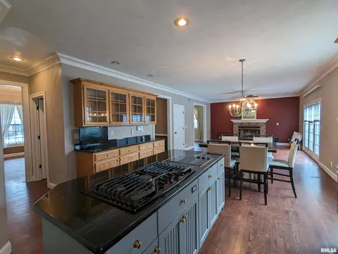 Kitchen - 703 S Brookfield Dr, Dunlap, IL 61525 photo 15 of 15