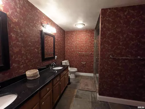 Bath - 703 S Brookfield Dr, Dunlap, IL 61525 photo 1 of 6
