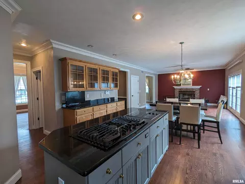 Kitchen - 703 S Brookfield Dr, Dunlap, IL 61525 photo 14 of 15