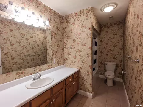 Bath - 703 S Brookfield Dr, Dunlap, IL 61525 photo 6 of 6