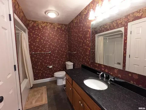 Bath - 703 S Brookfield Dr, Dunlap, IL 61525 photo 3 of 6