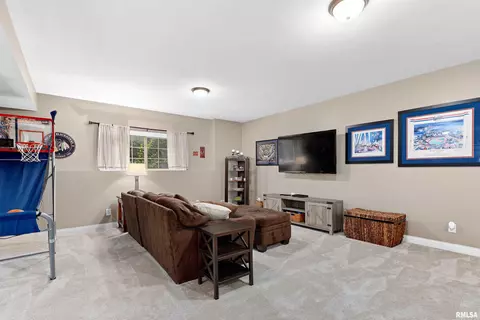 709 S Sara Ct, Dunlap, IL 61525 photo 38
