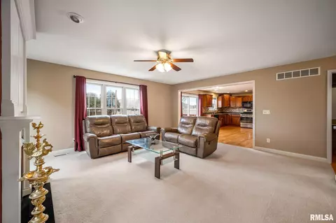 6822 N Buckeye Dr, Edwards, IL 61528 photo 7