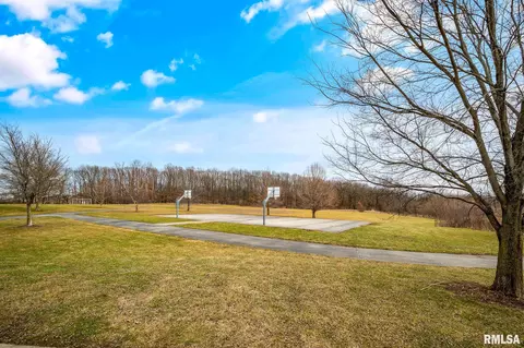 6822 N Buckeye Dr, Edwards, IL 61528 photo 55