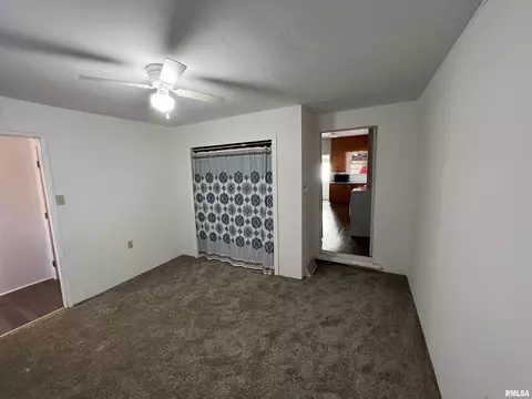 662 E Washington St, Cuba, IL 61427 photo 18