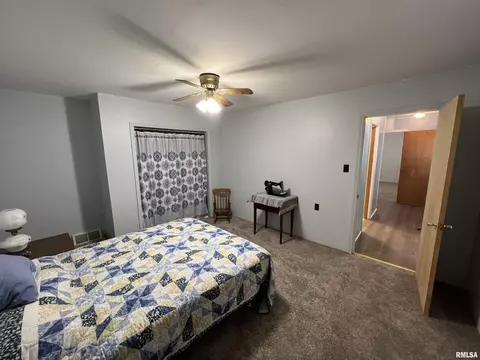 662 E Washington St, Cuba, IL 61427 photo 15