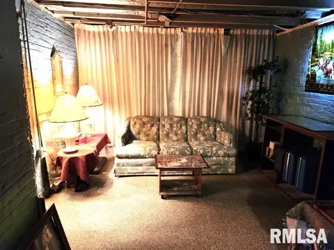 301 E Forrest Hill Ave, Peoria, IL 61603 photo 23