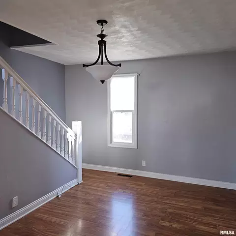 406 E Birch St, Canton, IL 61520 photo 10