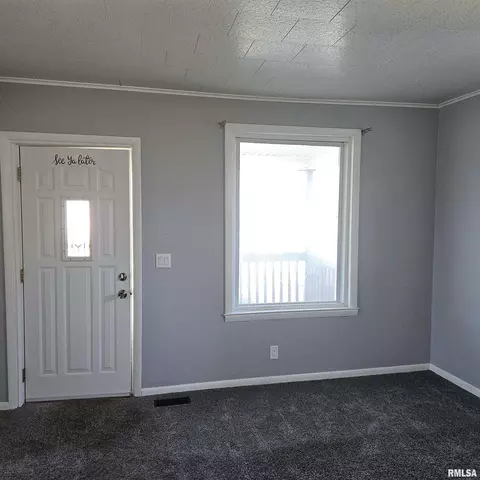 406 E Birch St, Canton, IL 61520 photo 4