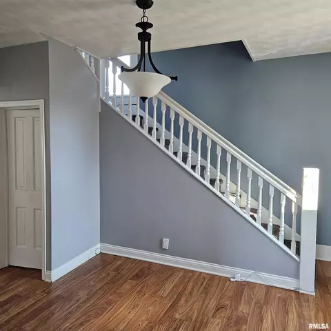 406 E Birch St, Canton, IL 61520 photo 8