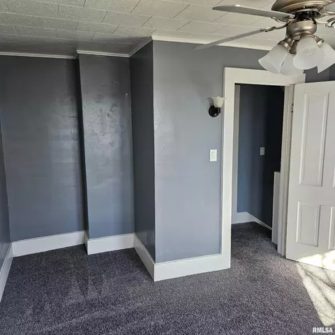 406 E Birch St, Canton, IL 61520 photo 26
