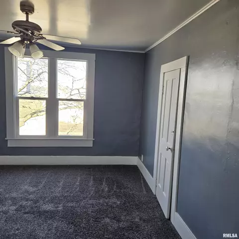 406 E Birch St, Canton, IL 61520 photo 29