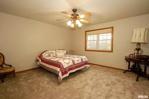 3736 W Eagle Dr, Dunlap, IL 61525 photo 31