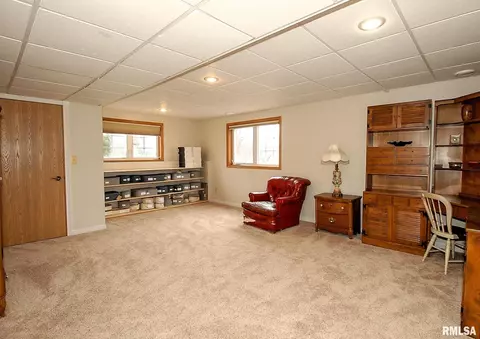 3736 W Eagle Dr, Dunlap, IL 61525 photo 39