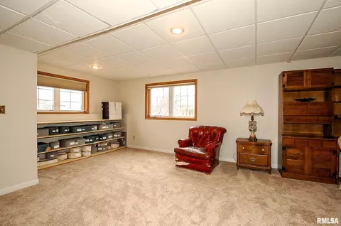 3736 W Eagle Dr, Dunlap, IL 61525 photo 38