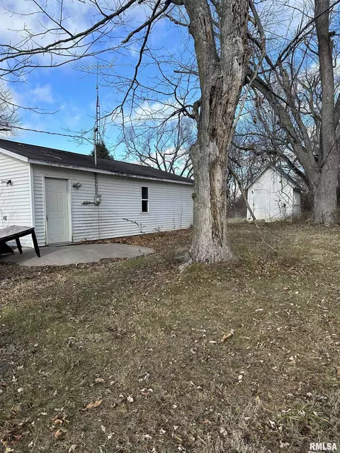 113 E Harrison St, London Mills, IL 61544