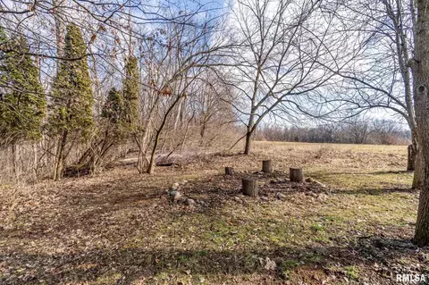 9351 W Darlington Dr, Mapleton, IL 61547 photo 32