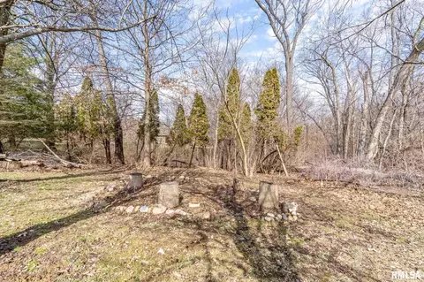 9351 W Darlington Dr, Mapleton, IL 61547 photo 33