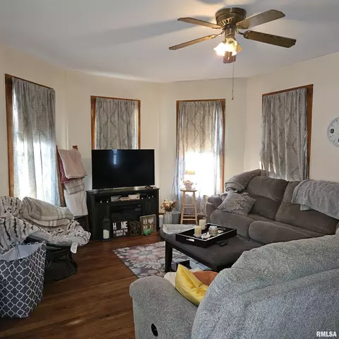Living - 607 Elm St, Canton, IL 61520 photo 3 of 6
