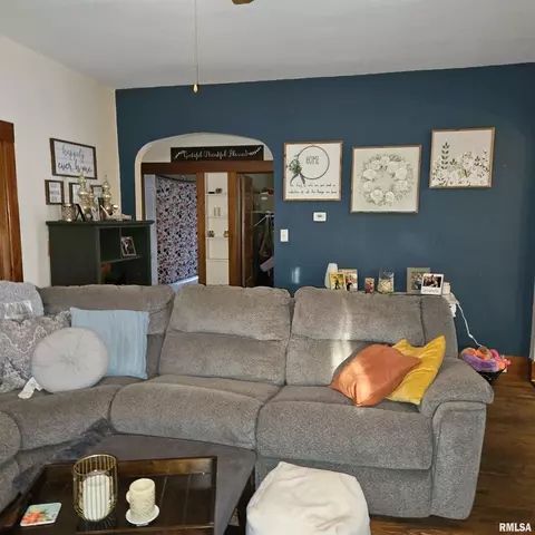 Living - 607 Elm St, Canton, IL 61520 photo 2 of 6