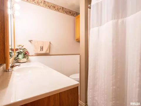 113 N 6th St, Dunlap, IL 61525 photo 33