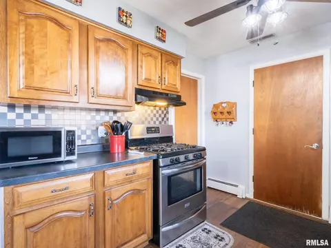 113 N 6th St, Dunlap, IL 61525 photo 12