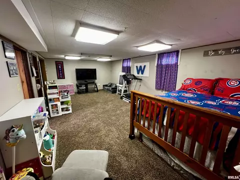 709 E South St, Tremont, IL 61568 photo 14