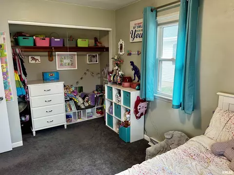 709 E South St, Tremont, IL 61568 photo 10