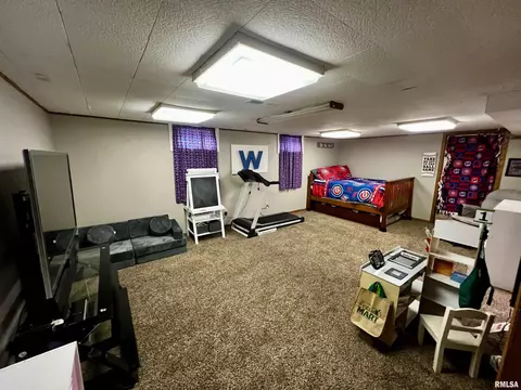 709 E South St, Tremont, IL 61568 photo 13
