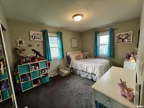 709 E South St, Tremont, IL 61568 photo 9