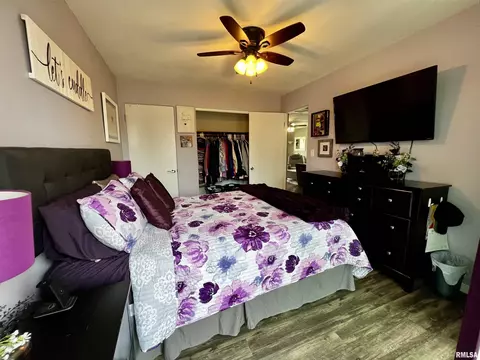 709 E South St, Tremont, IL 61568 photo 8