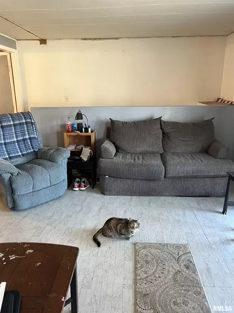 1111 E Grant St, Macomb, IL 61455 photo 7
