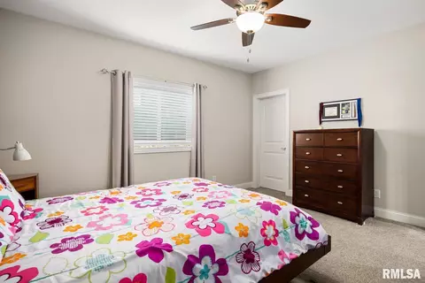 3103 W Boulder Point Ct, Dunlap, IL 61525 photo 47