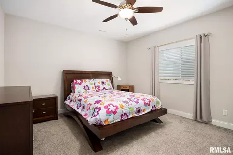 3103 W Boulder Point Ct, Dunlap, IL 61525 photo 46
